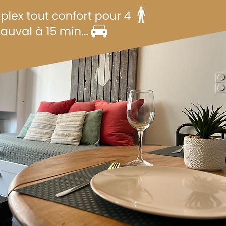 Duplex/Beauval&Châteaux Selles-sur-Cher Extérieur photo