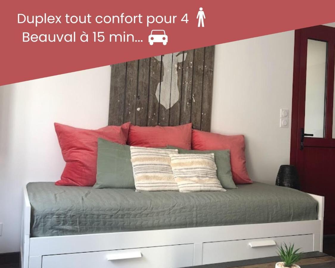 Duplex/Beauval&Châteaux Selles-sur-Cher Extérieur photo