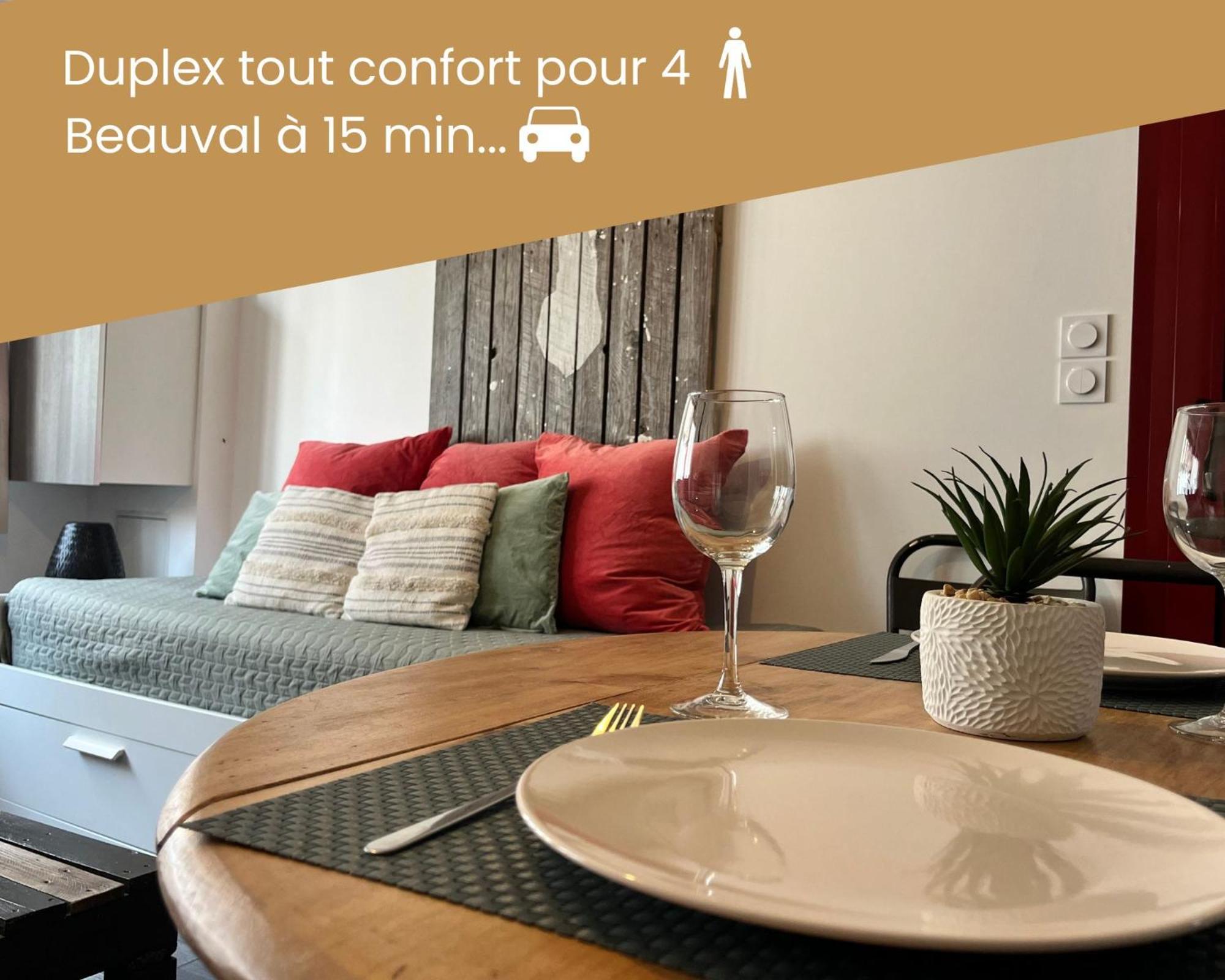 Duplex/Beauval&Châteaux Selles-sur-Cher Extérieur photo