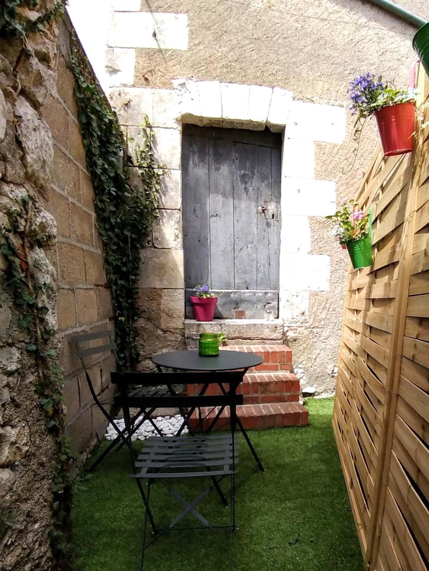 Duplex/Beauval&Châteaux Selles-sur-Cher Extérieur photo